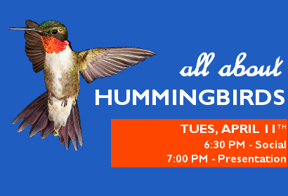 All About Hummingbirds, Tuesday April 11th. 6:30 pm social, 7:00 pm presentation