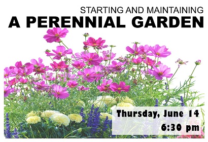 Starting and Maintaining a Perennial Garden, Thursday, June 14, 6:30 pm