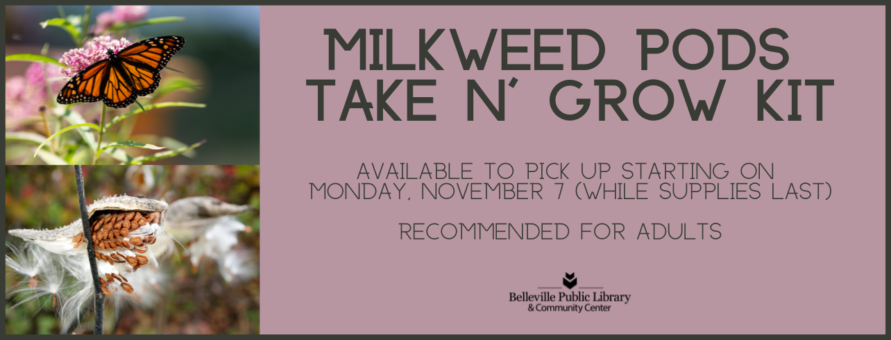 Milkweed Pods Take n' Grow Kits are available to pick up starting on Monday, November 7