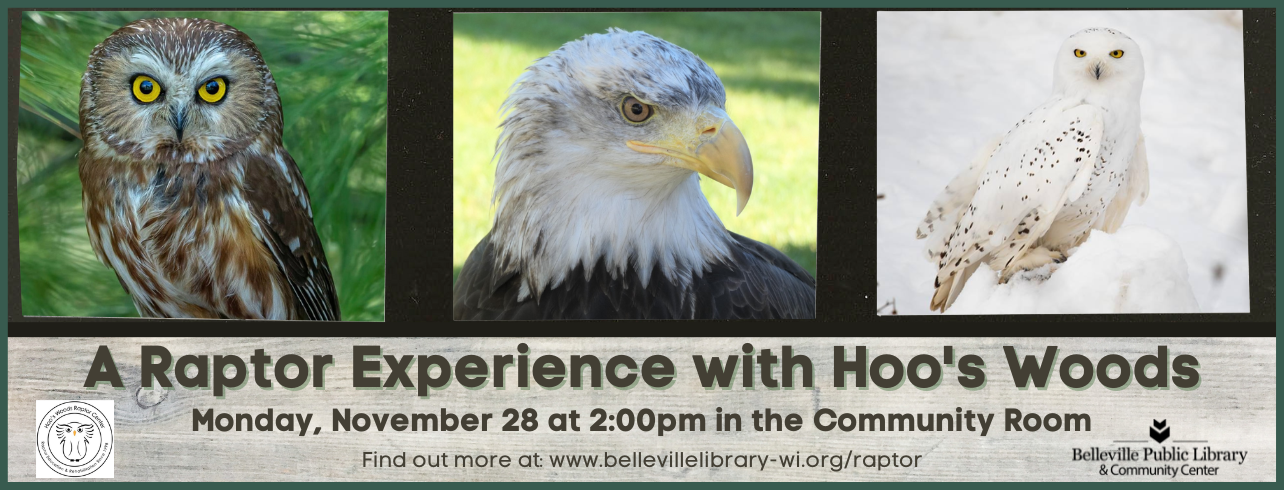 A Raptor Experience with Hoo's Woods on Monday, November 28 at 2:00pm