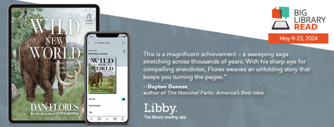 Big Library Read