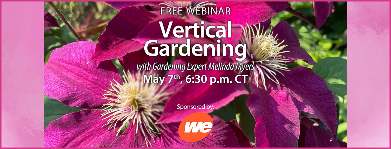 Vertical Gardening
