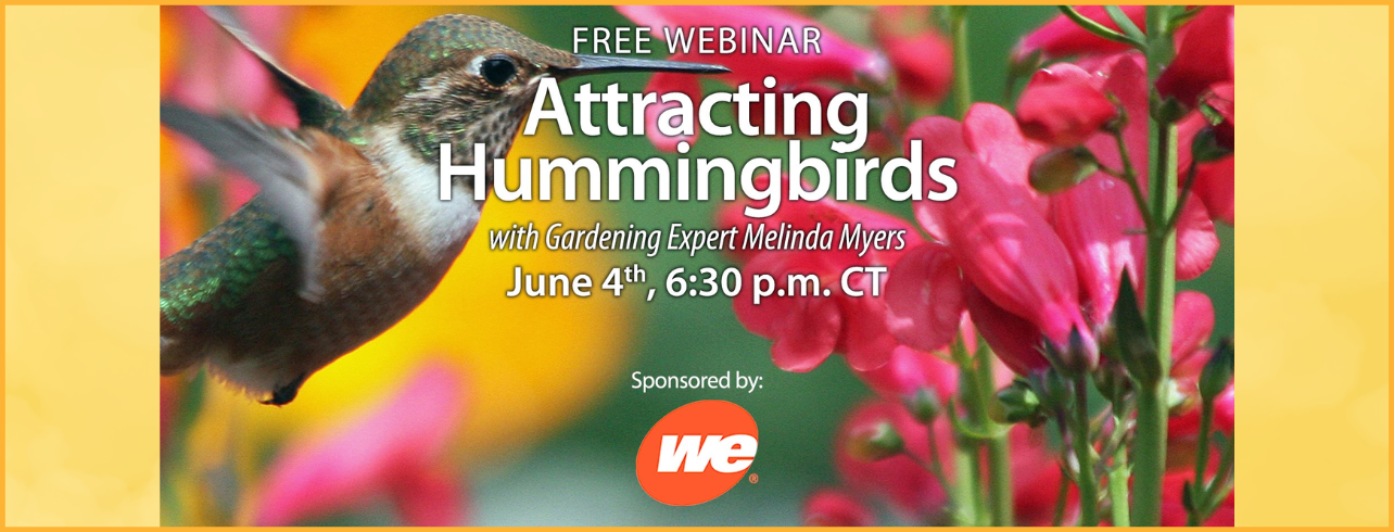 Attracting Hummingbirds
