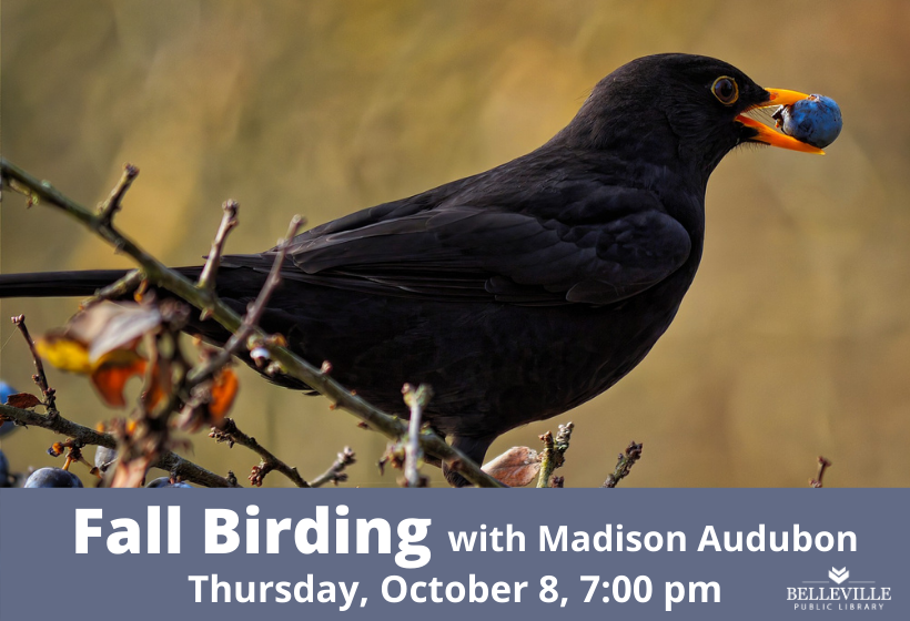 Fall Birding with Madison Audubon, Thursday, October 8, 2020 at 7:00 pm via Zoom