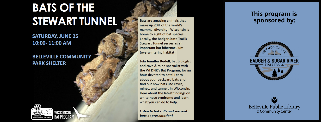 Bats of the Stewart Tunnel on Saturday, June 25 at 10:00am