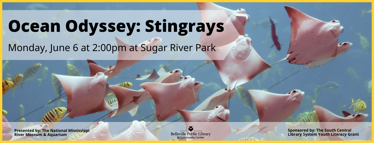 Ocean Odyssey: Stingrays on Monday, June 6 at 2:00pm at Sugar River Park