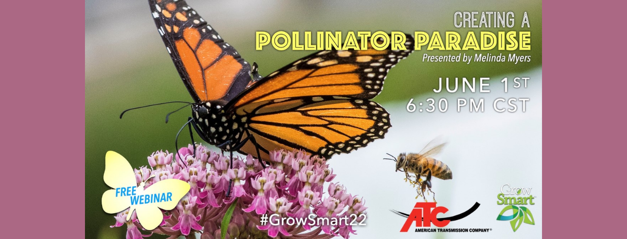 Creating a Pollinator Paradise on Wednesday, June 1 at 6:30pm